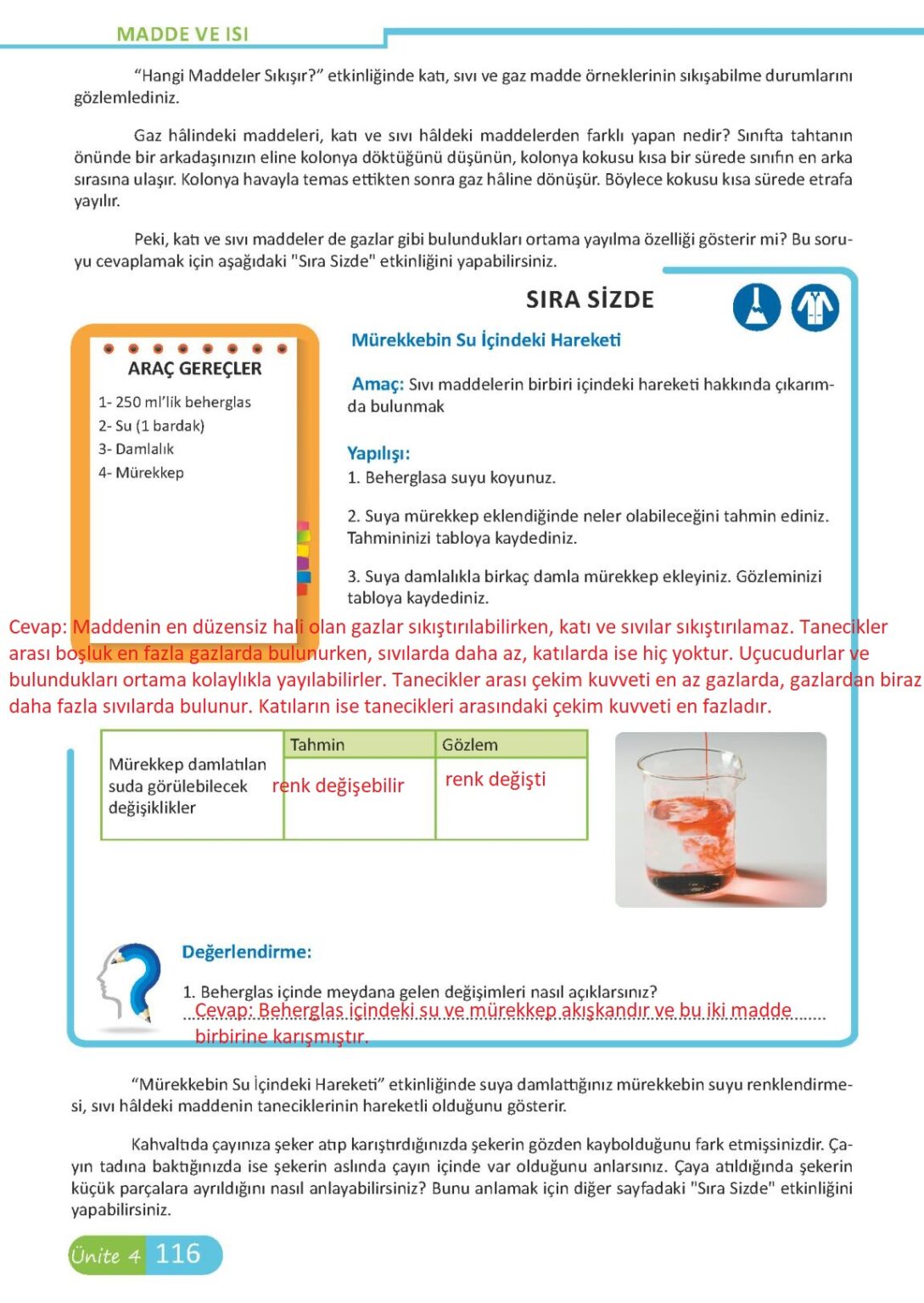 6.Sınıf Fen Bilimleri Meb Yayınları Sayfa 116 Cevapları ...