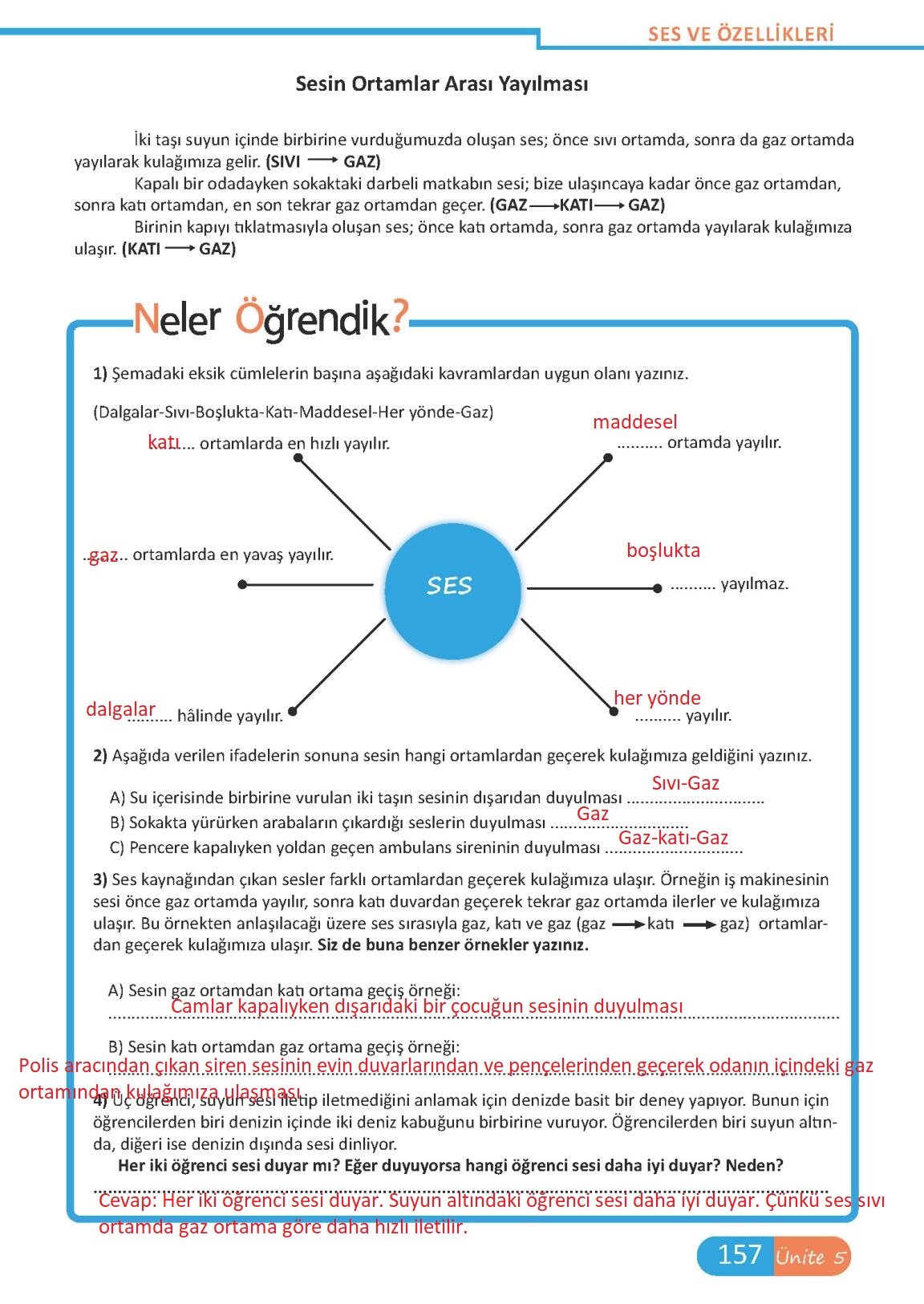 6.Sınıf Fen Bilimleri Meb Yayınları Sayfa 157 Cevapları ...