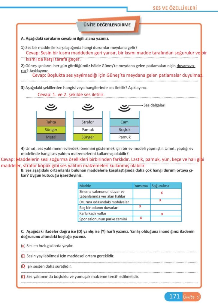 6.Sınıf Fen Bilimleri Meb Yayınları Sayfa 171 Cevapları ...