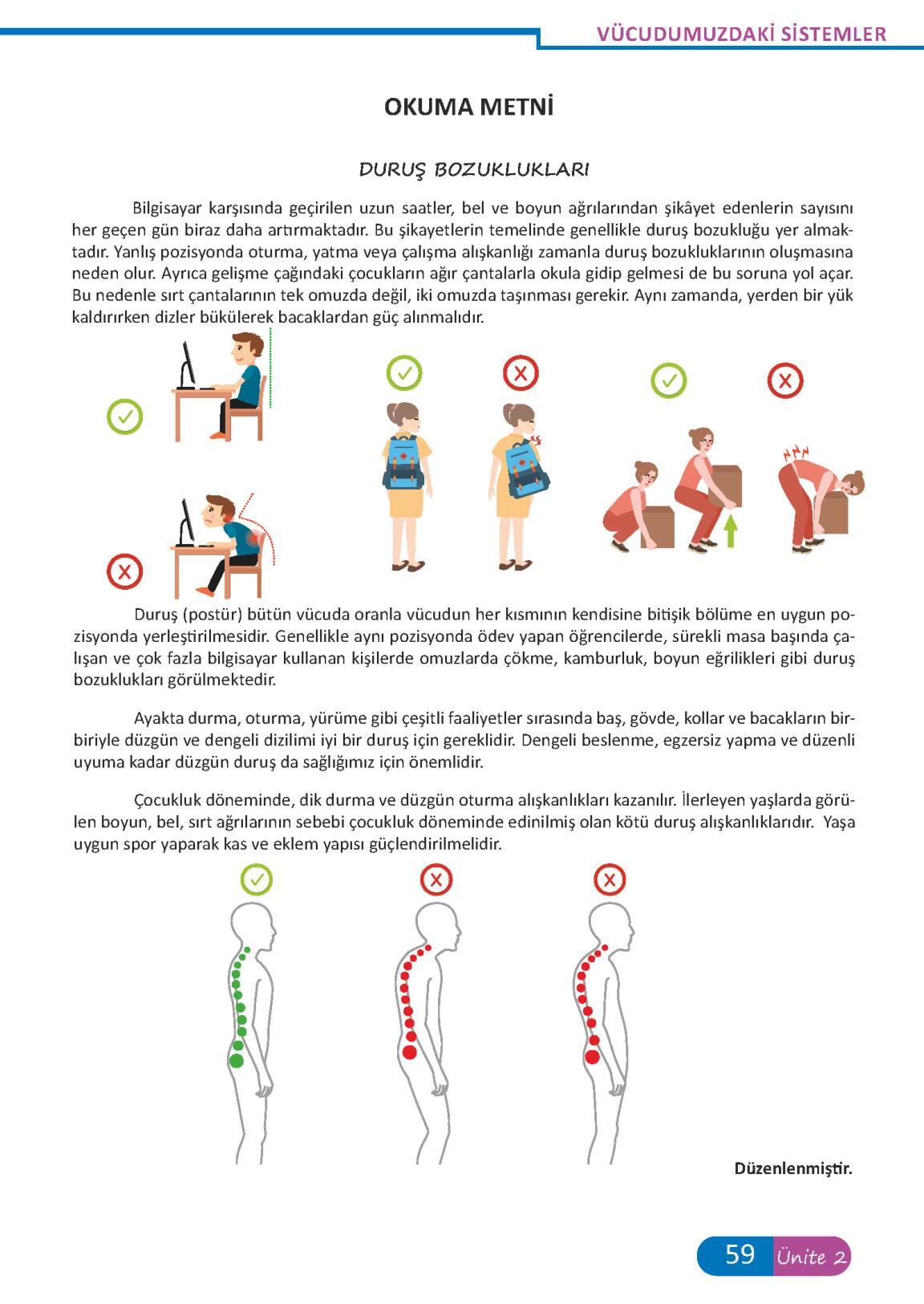 6.Sınıf Fen Bilimleri Meb Yayınları Sayfa 59 Cevapları ...