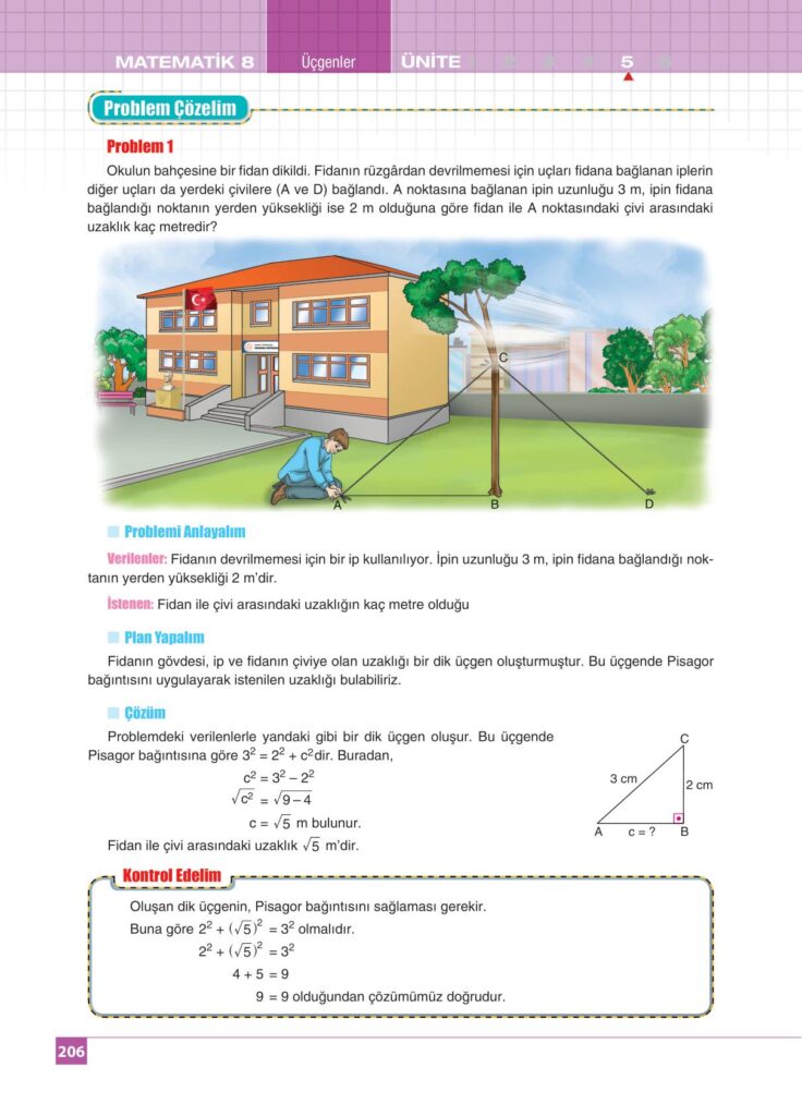 8.sınıf matematik koza yayınları sayfa 206 cevabı 