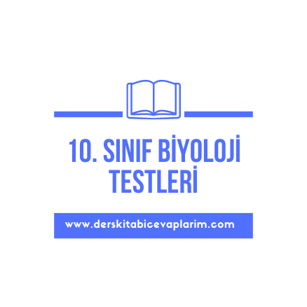 10. sınıf biyoloji çevre sorunları test