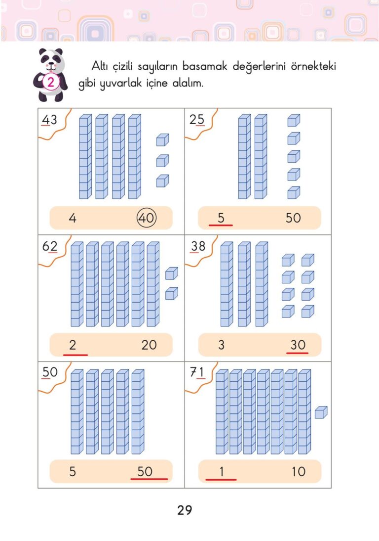 2. Sınıf Matematik Pasifik Yayınları Sayfa 29 Cevapları 