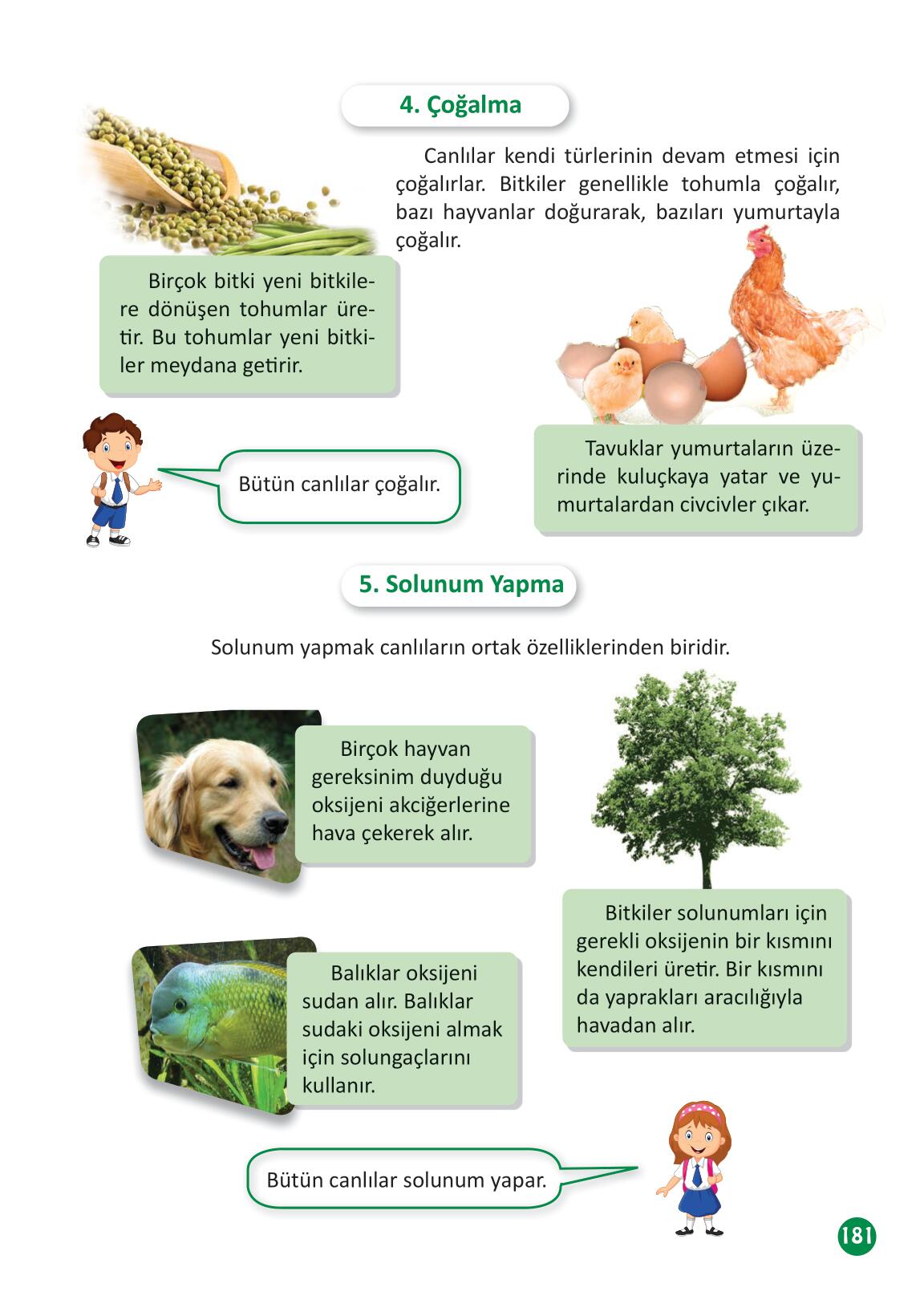 3. Sınıf Fen Bilimleri Meb Yayınları Sayfa 181 Cevapları ...