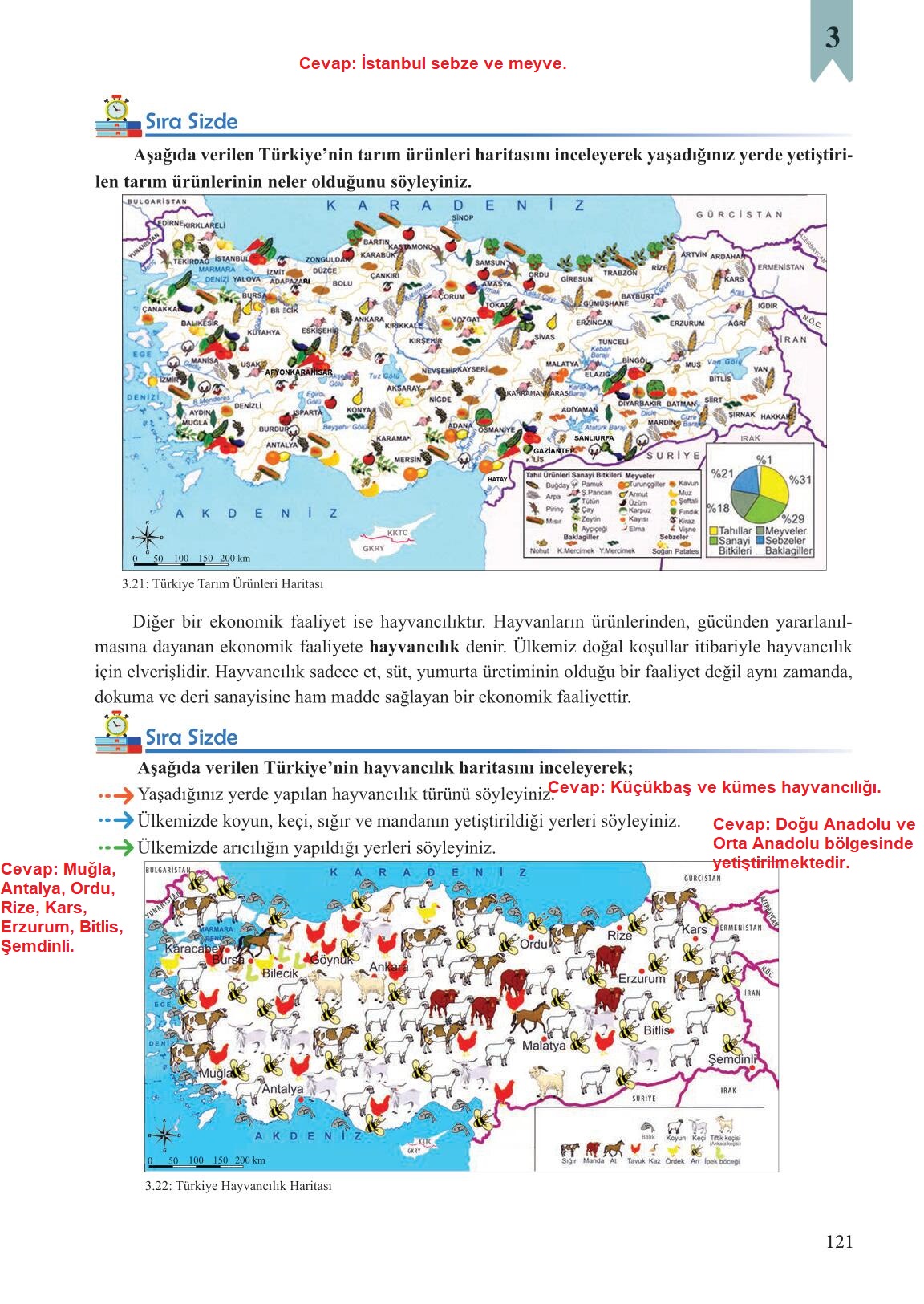 6. Sınıf Sosyal Bilgiler Meb Yayınları Sayfa 121 Cevapları ...