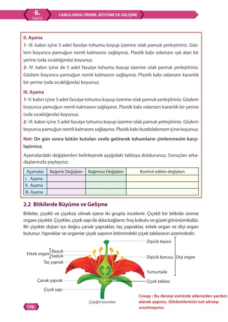 7. Sınıf Fen Bilimleri Meb Yayınları Sayfa 196 Cevapları ...