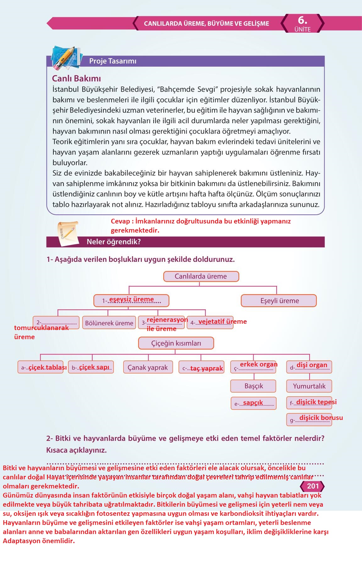 7. Sınıf Fen Bilimleri Meb Yayınları Sayfa 201 Cevapları ...