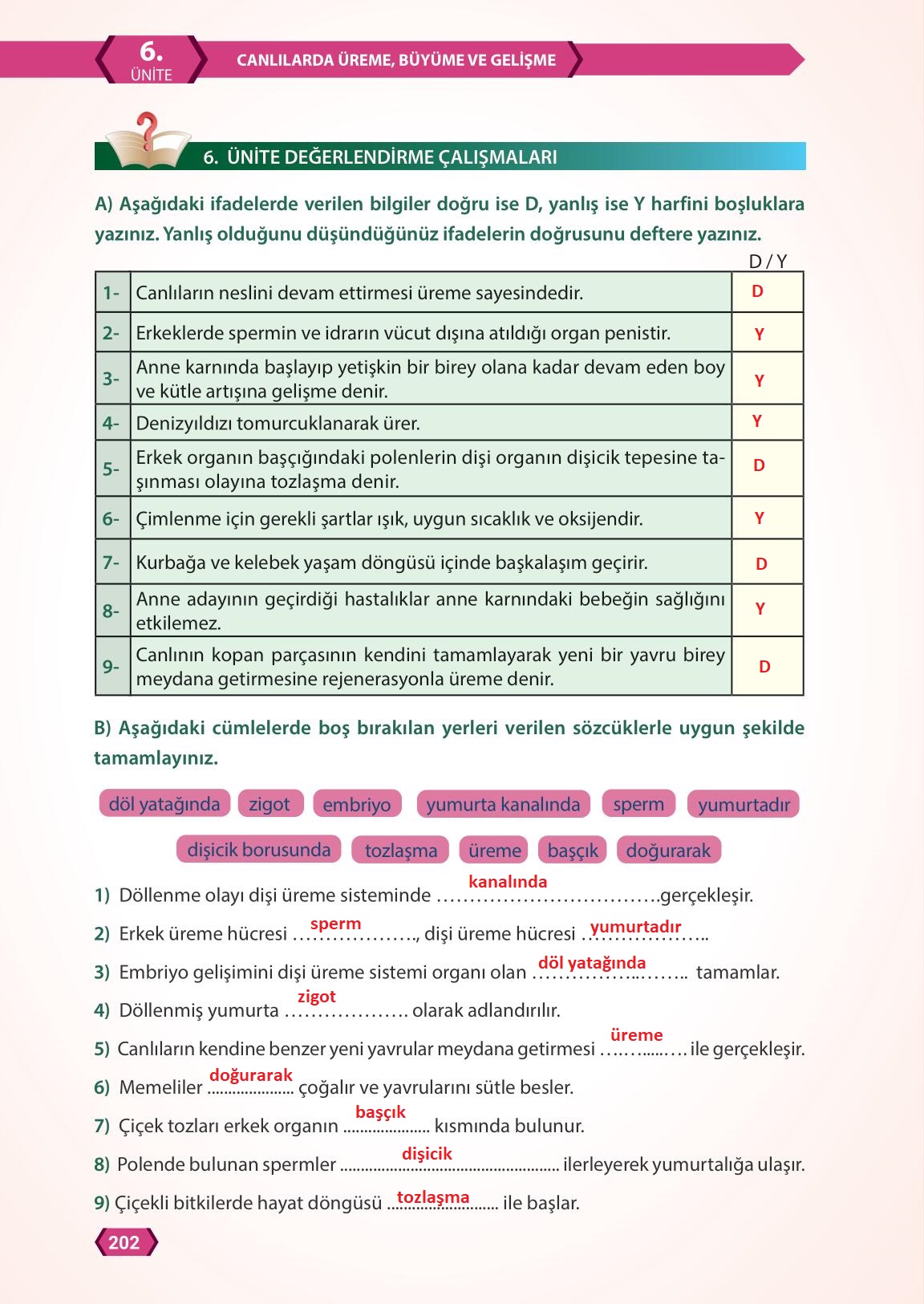 7. Sınıf Fen Bilimleri Meb Yayınları Sayfa 202 Cevapları ...