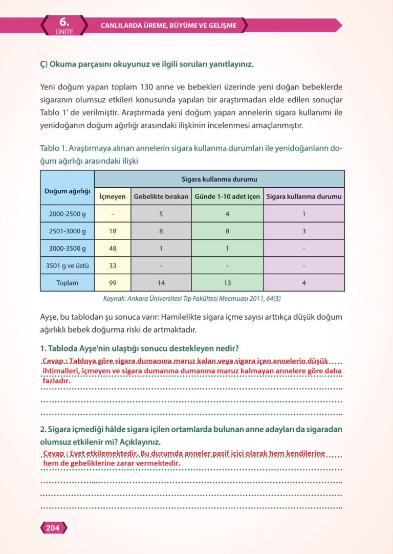 7. Sınıf Fen Bilimleri Meb Yayınları Sayfa 204 Cevapları ...