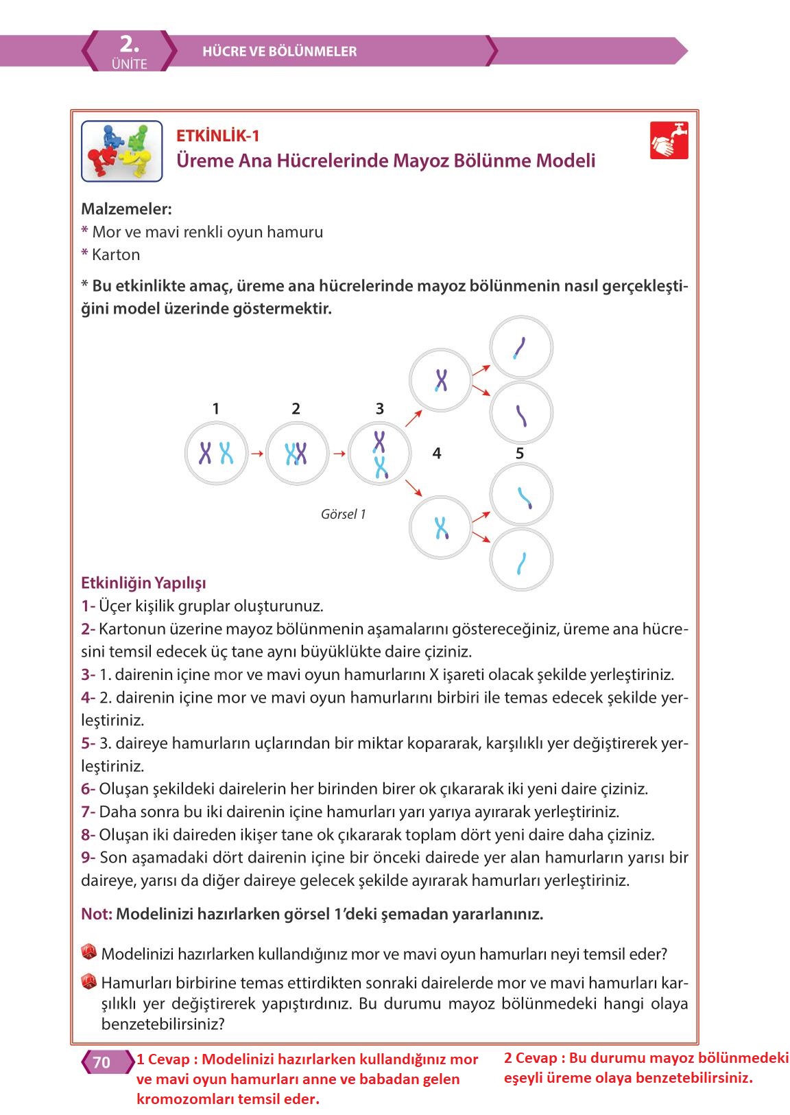 7. Sınıf Fen Bilimleri Meb Yayınları Sayfa 70 Cevapları ...