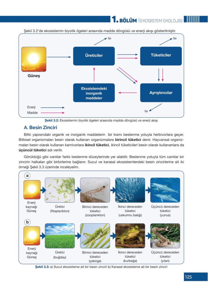 10. Sınıf Biyoloji Ders Kitabı Pasifik Yayınları Sayfa 125 Cevapları ...