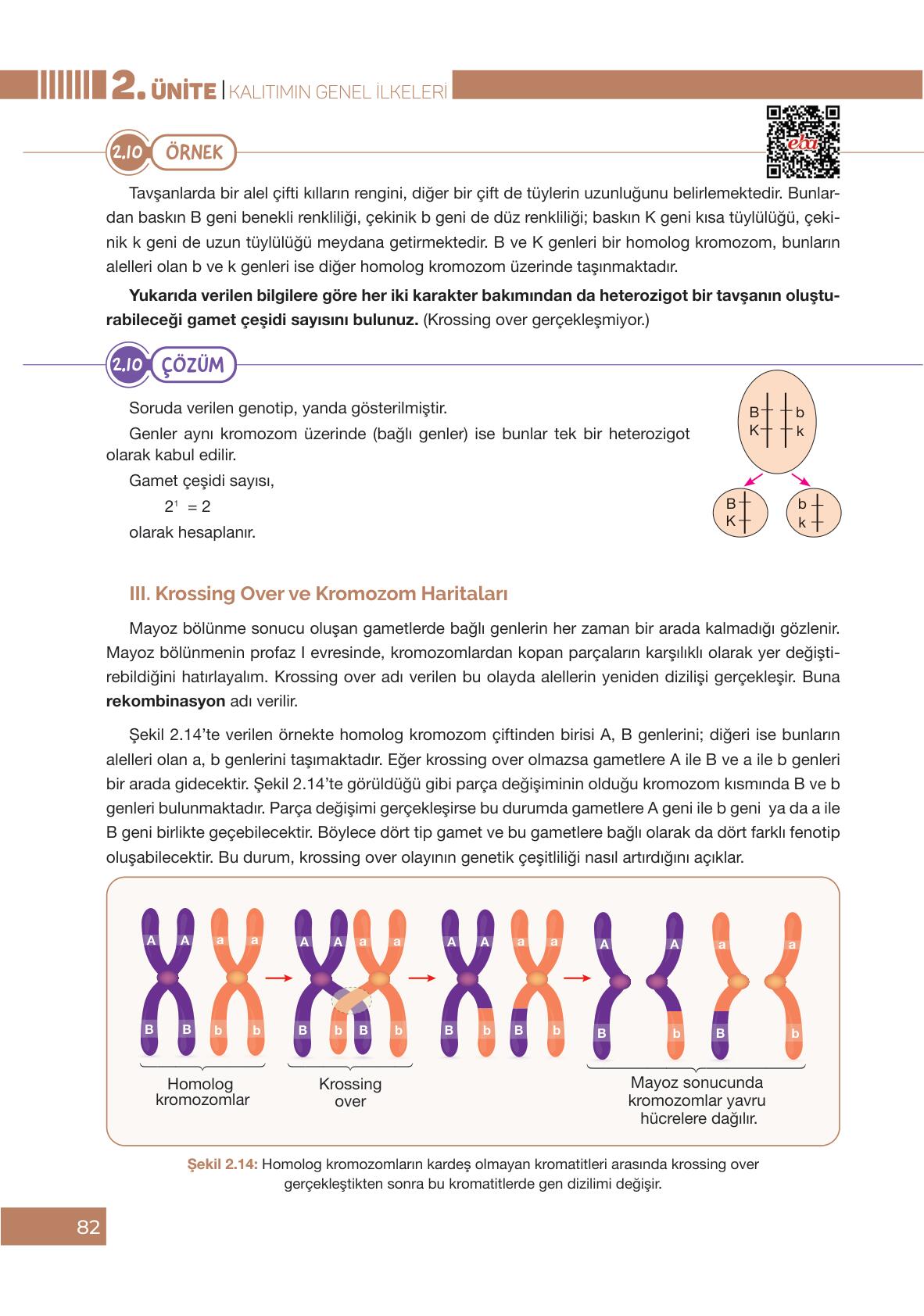 10. Sınıf Biyoloji Ders Kitabı Pasifik Yayınları Sayfa 82 Cevapları ...