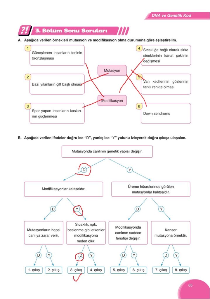 8. Sınıf Fen Bilimleri Ders Kitabı Ata Yayıncılık Sayfa 65 Cevapları ...