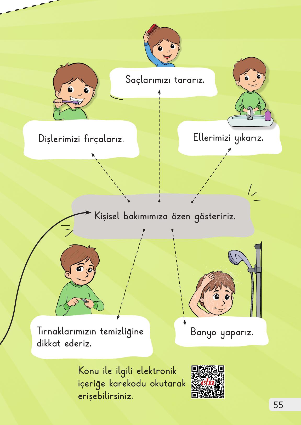 1. Sınıf Meb Yayınları Hayat Bilgisi 1. Kitap Ders Kitabı Sayfa 55 Cevapları