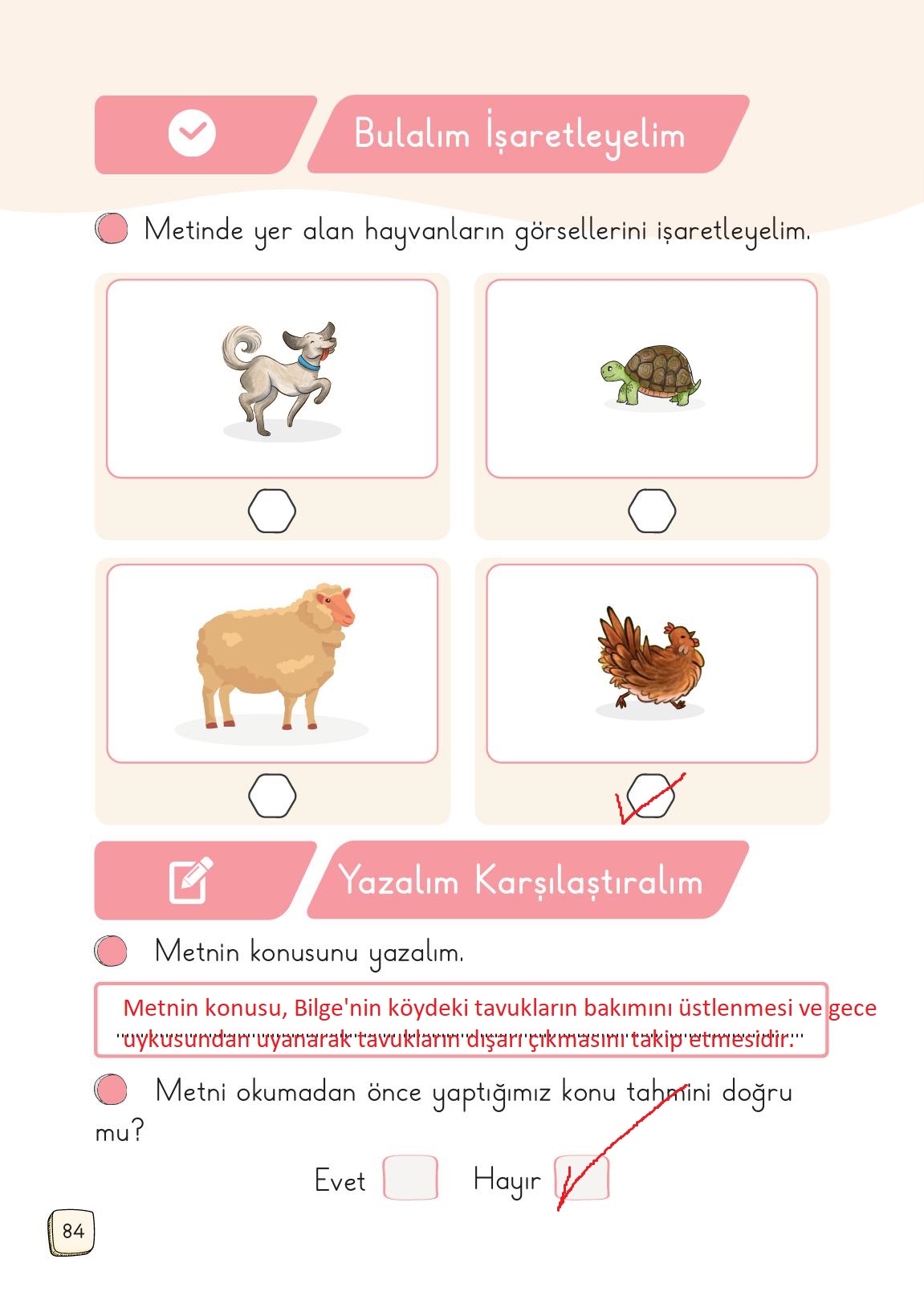 1. Sınıf Meb Yayınları Türkçe 2. Kitap Ders Kitabı Sayfa 84 Cevapları