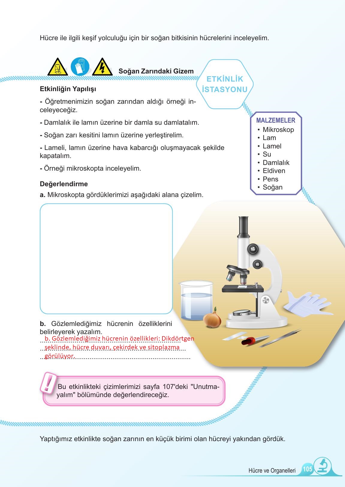 5. Sınıf Meb Yayınları Fen Bilimleri Ders Kitabı Sayfa 105 Cevapları