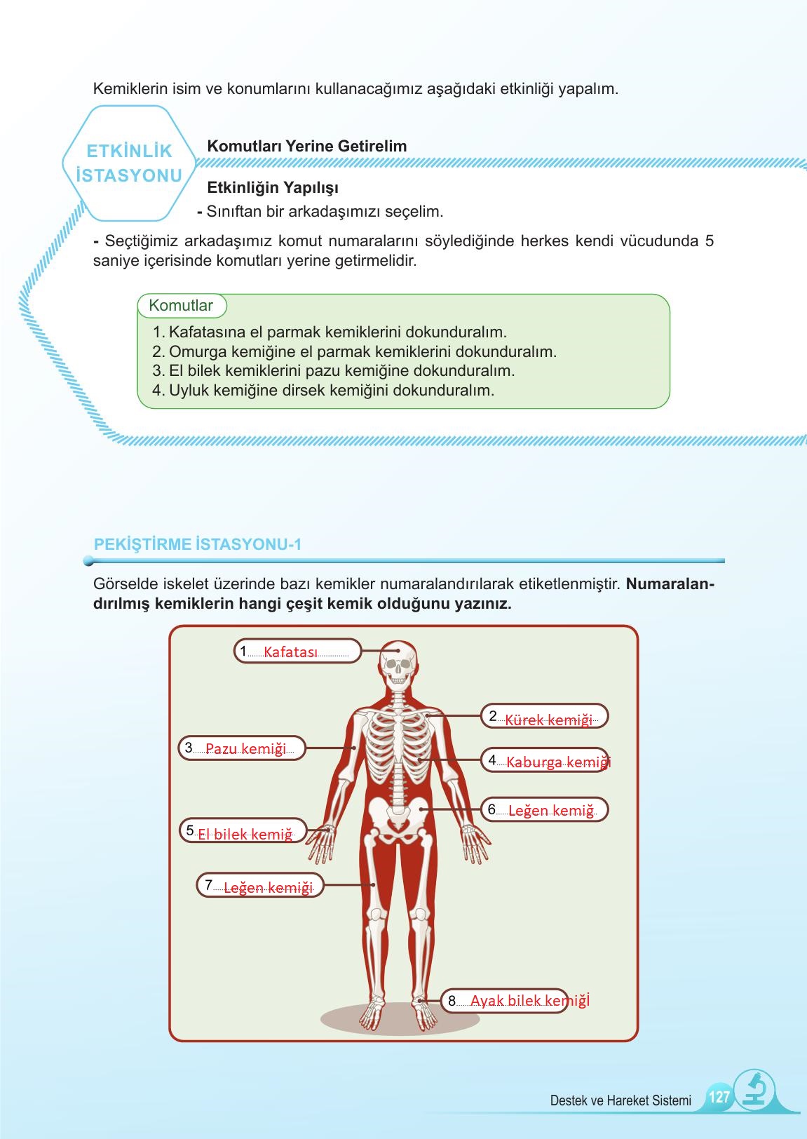 5. Sınıf Meb Yayınları Fen Bilimleri Ders Kitabı Sayfa 127 Cevapları