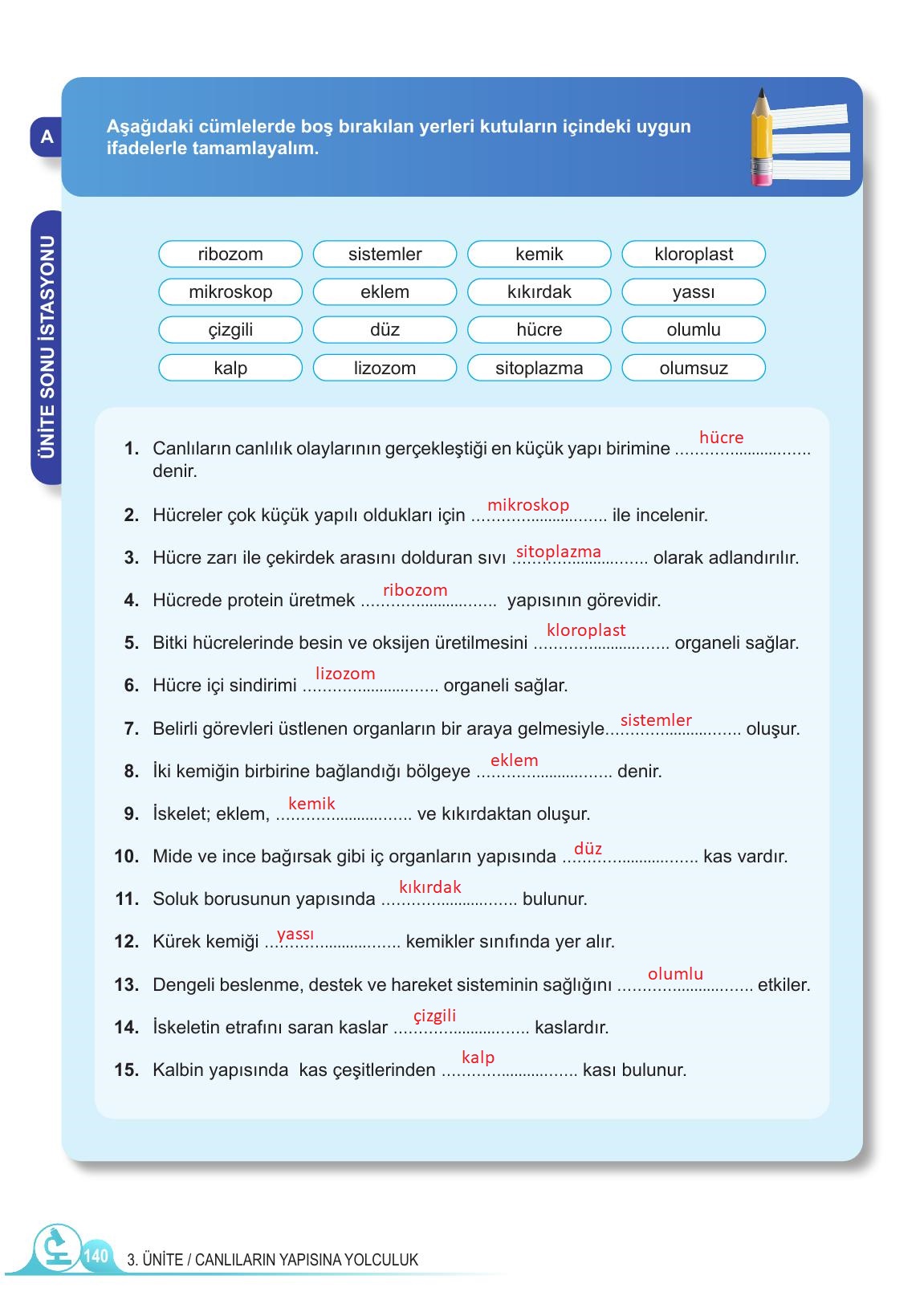 5. Sınıf Meb Yayınları Fen Bilimleri Ders Kitabı Sayfa 140 Cevapları