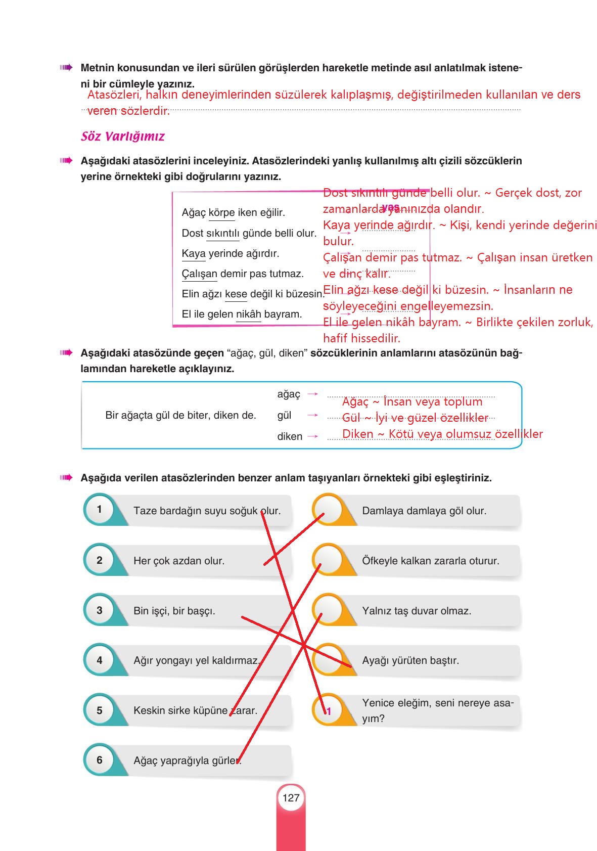 6. Sınıf Yıldırım Yayınları Türkçe Ders Kitabı Sayfa 127 Cevapları