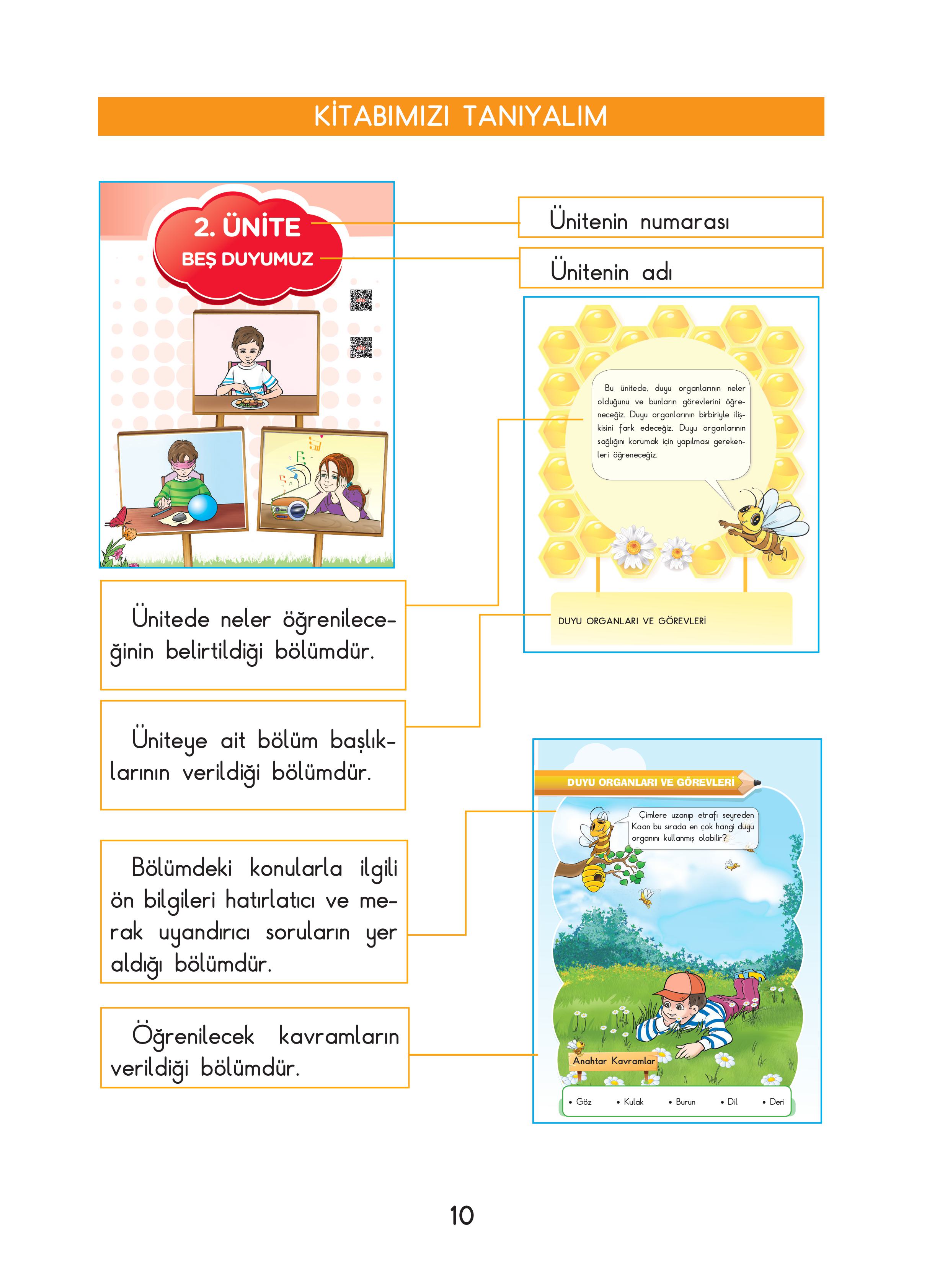 3. Sınıf Sdr Dikey Yayıncılık Fen Bilimleri Ders Kitabı Sayfa 10 Cevapları