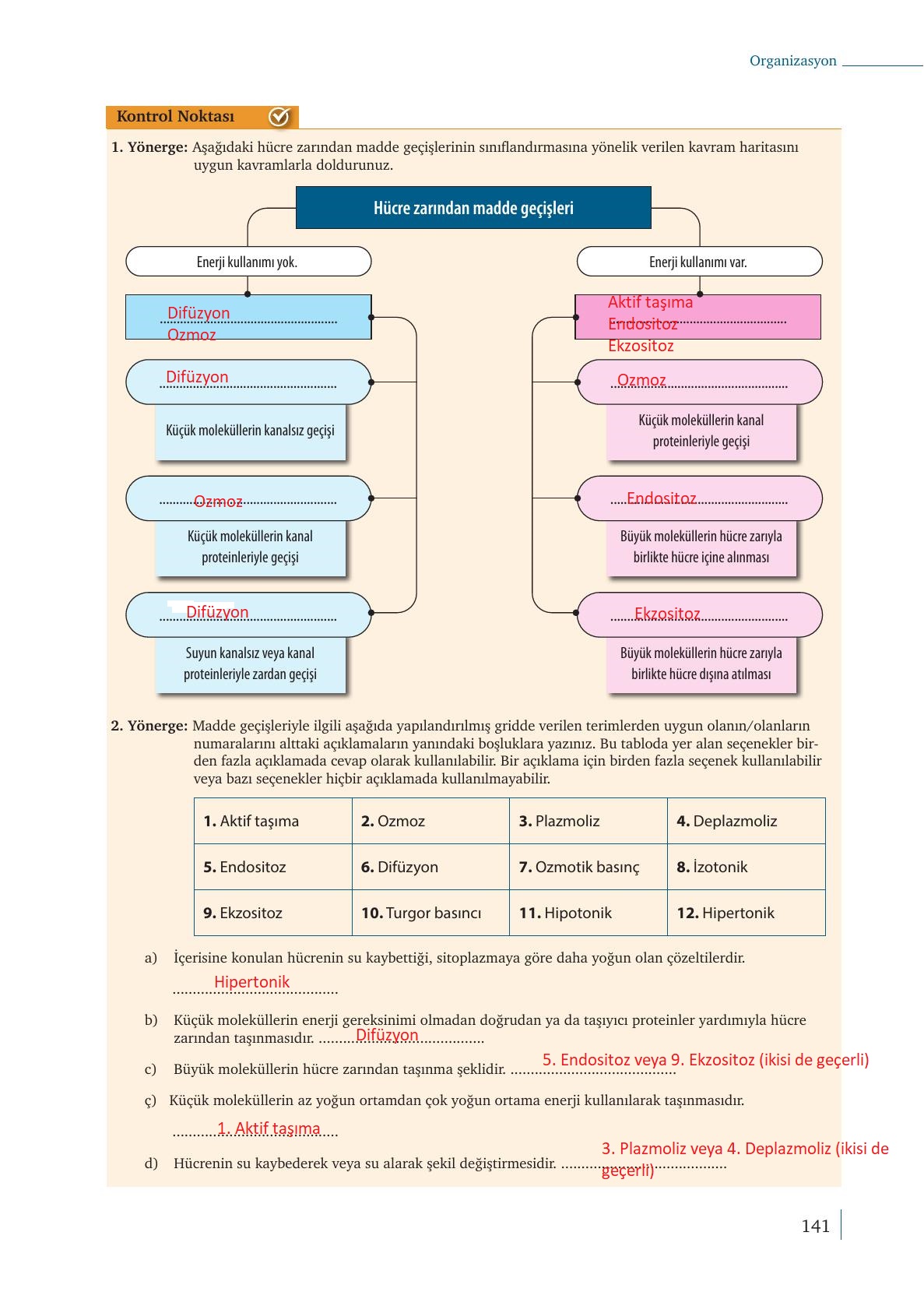 9. Sınıf Meb Yayınları Biyoloji Ders Kitabı Sayfa 141 Cevapları