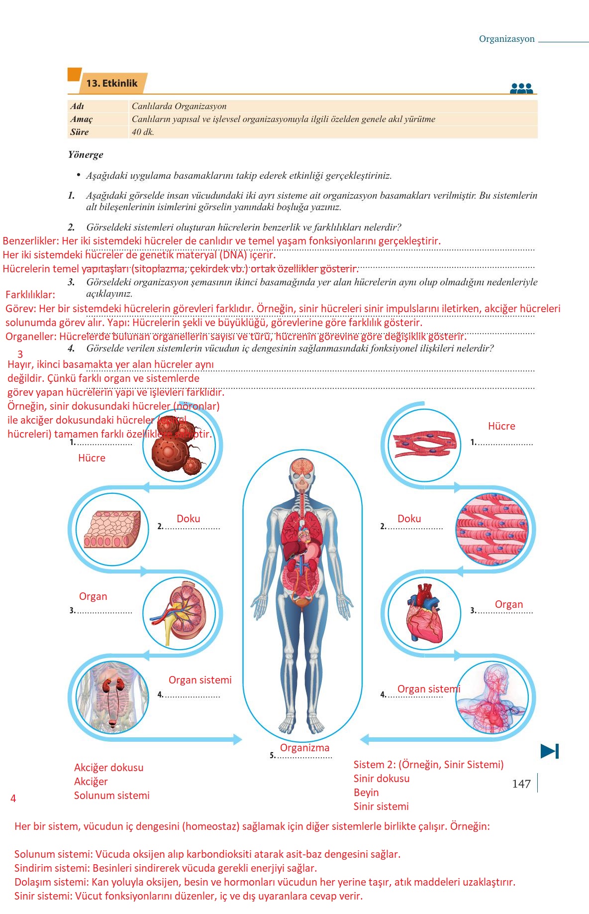 9. Sınıf Meb Yayınları Biyoloji Ders Kitabı Sayfa 147 Cevapları