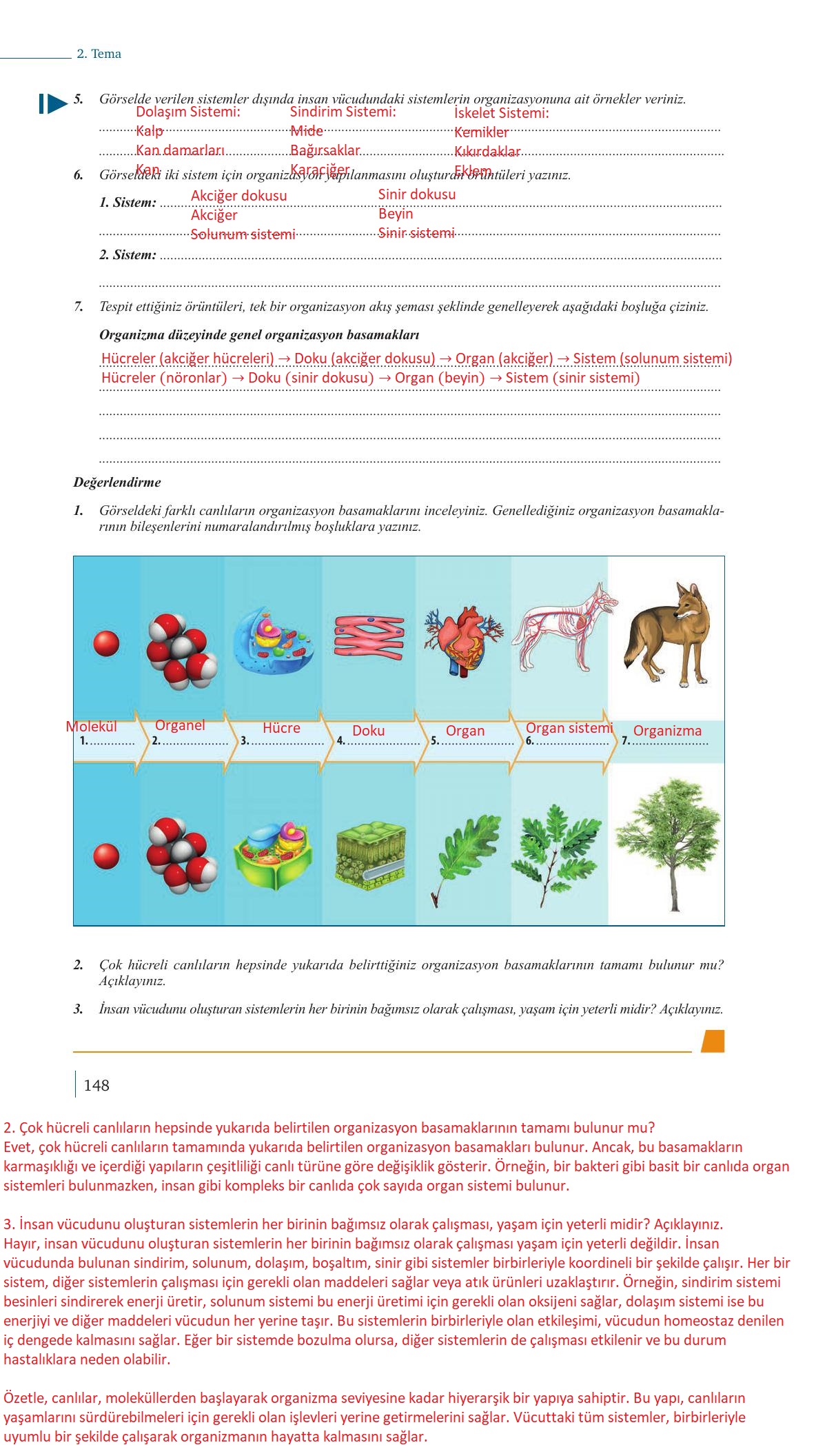 9. Sınıf Meb Yayınları Biyoloji Ders Kitabı Sayfa 148 Cevapları