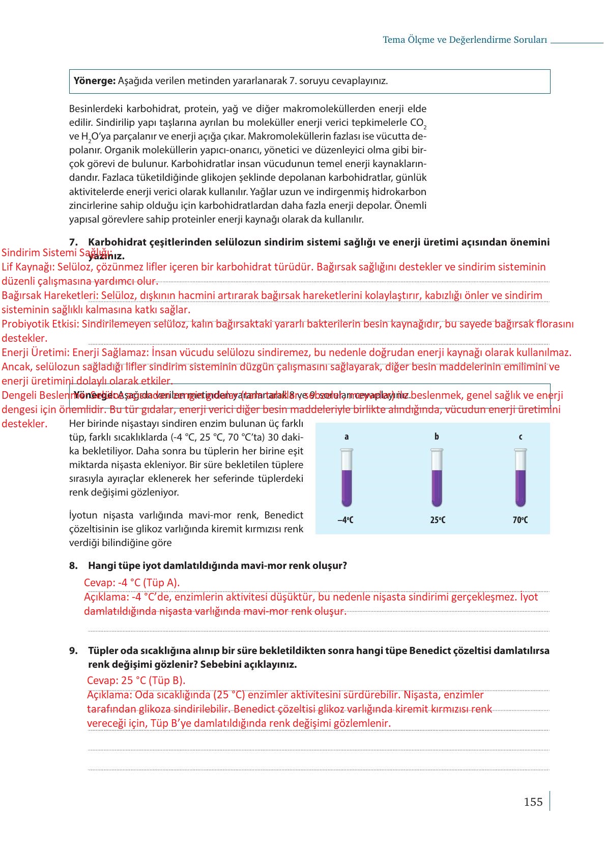 9. Sınıf Meb Yayınları Biyoloji Ders Kitabı Sayfa 155 Cevapları