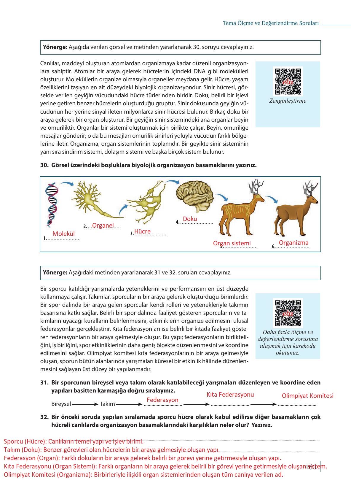 9. Sınıf Meb Yayınları Biyoloji Ders Kitabı Sayfa 163 Cevapları