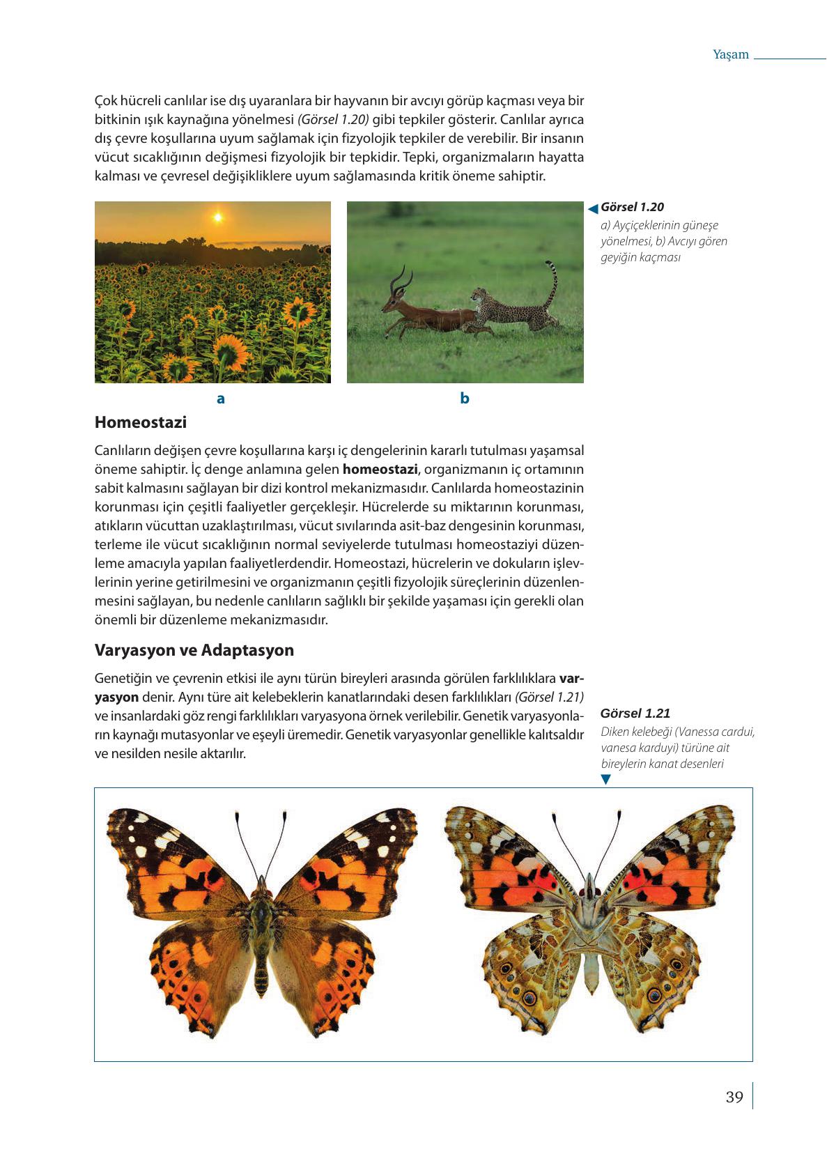 9. Sınıf Meb Yayınları Biyoloji Ders Kitabı Sayfa 39 Cevapları