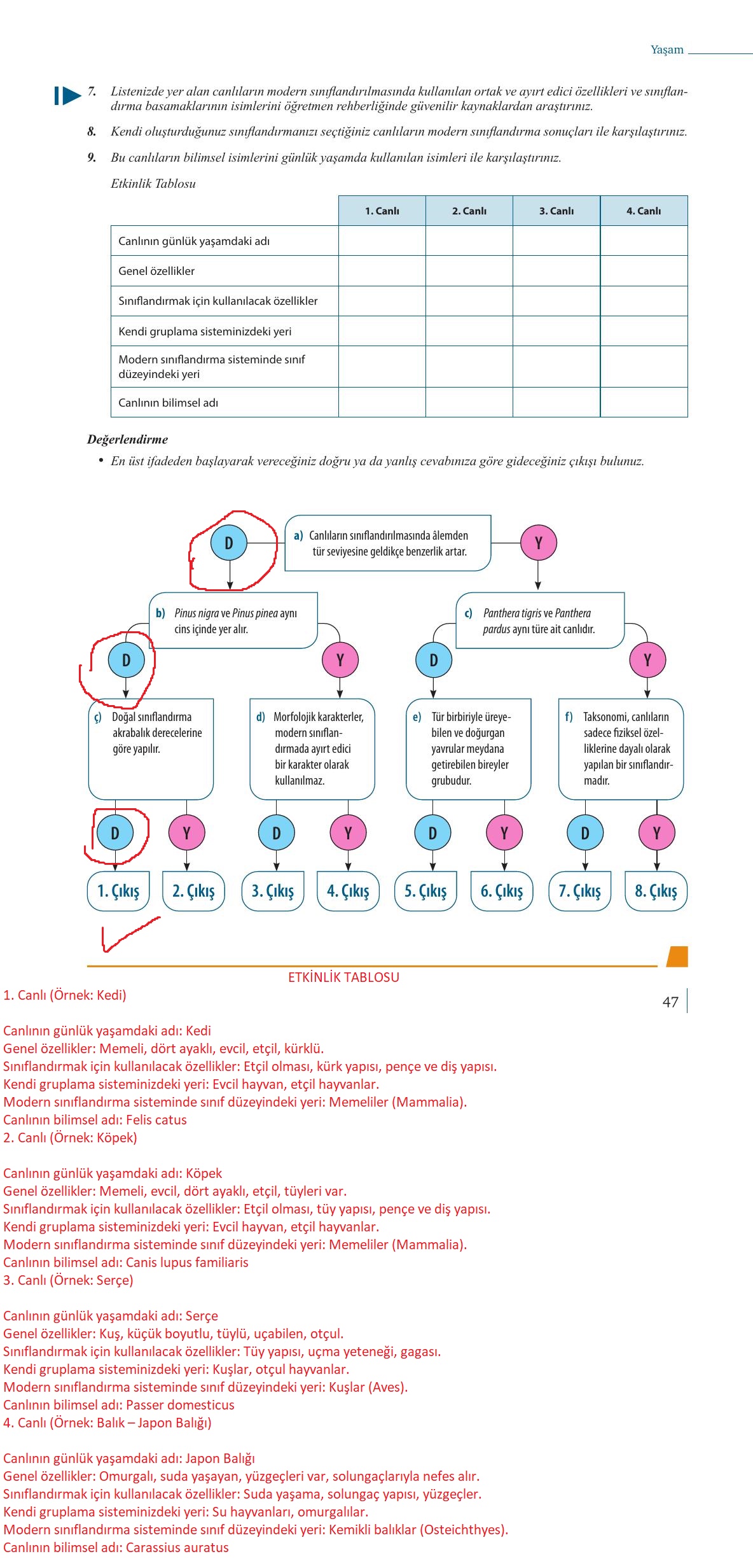 9. Sınıf Meb Yayınları Biyoloji Ders Kitabı Sayfa 47 Cevapları
