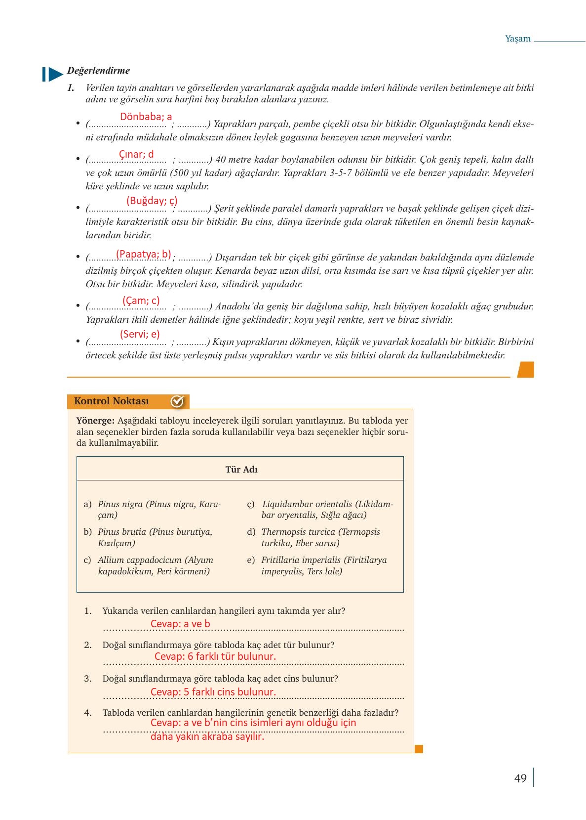 9. Sınıf Meb Yayınları Biyoloji Ders Kitabı Sayfa 49 Cevapları