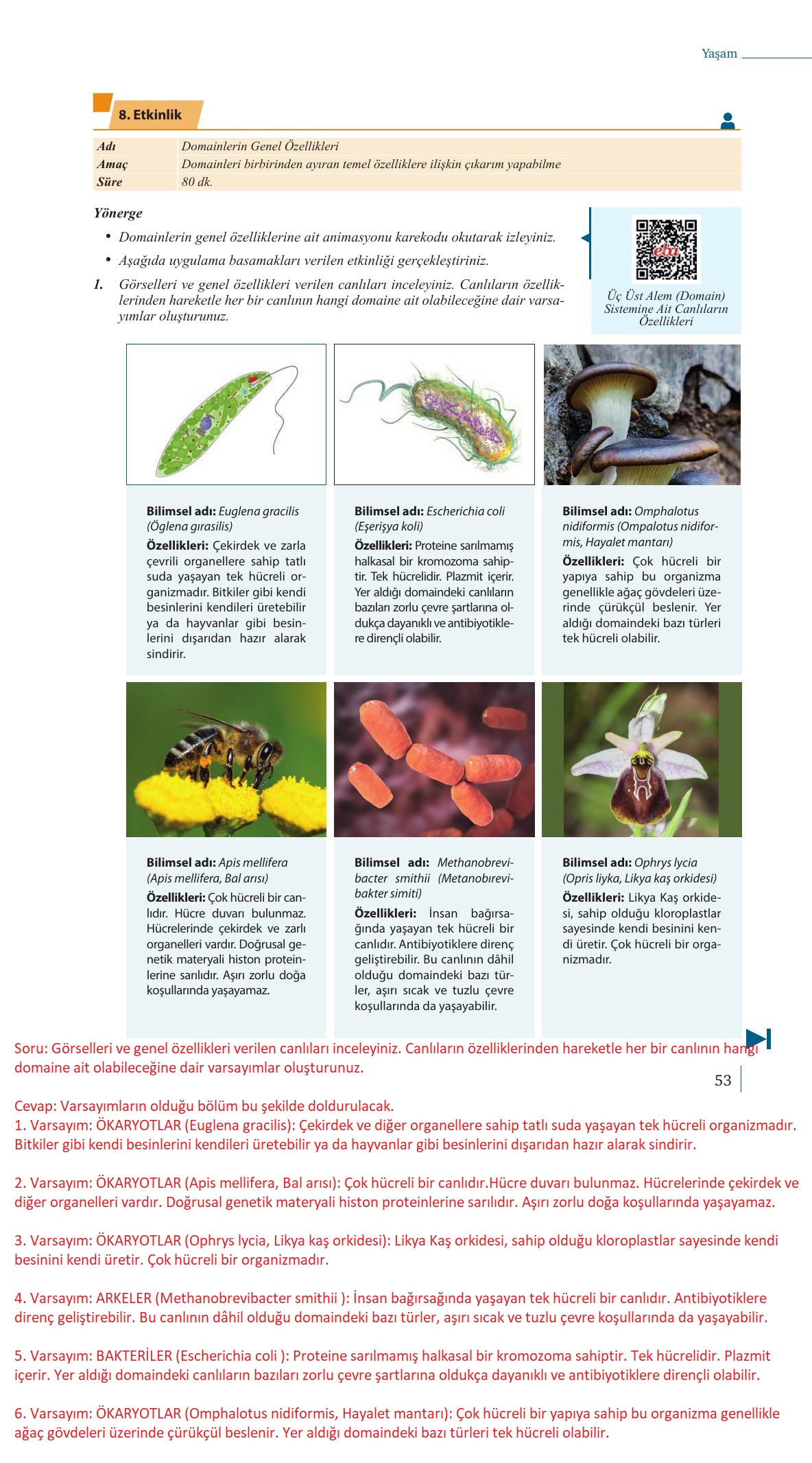 9. Sınıf Meb Yayınları Biyoloji Ders Kitabı Sayfa 53 Cevapları