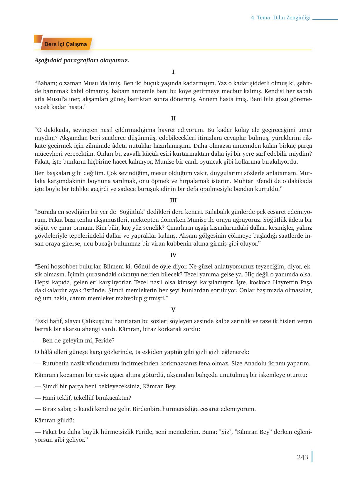 9. Sınıf Meb Yayınları Türk Dili Ve Edebiyatı Ders Kitabı Sayfa 243 Cevapları